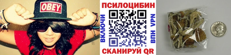 Псилоцибиновые грибы Cubensis  МЕГА   Избербаш 